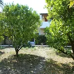 Anamama Studios