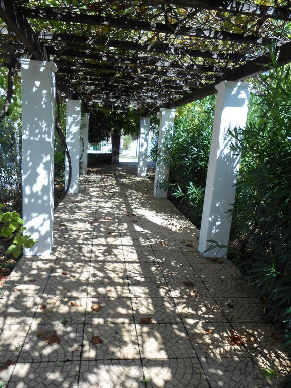 Anamama Apartment Acharavi (Corfu)