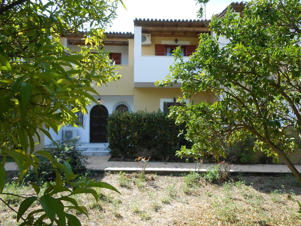 Anamama