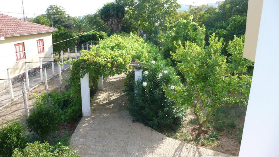 Apartment Anamama Acharavi (Corfu)