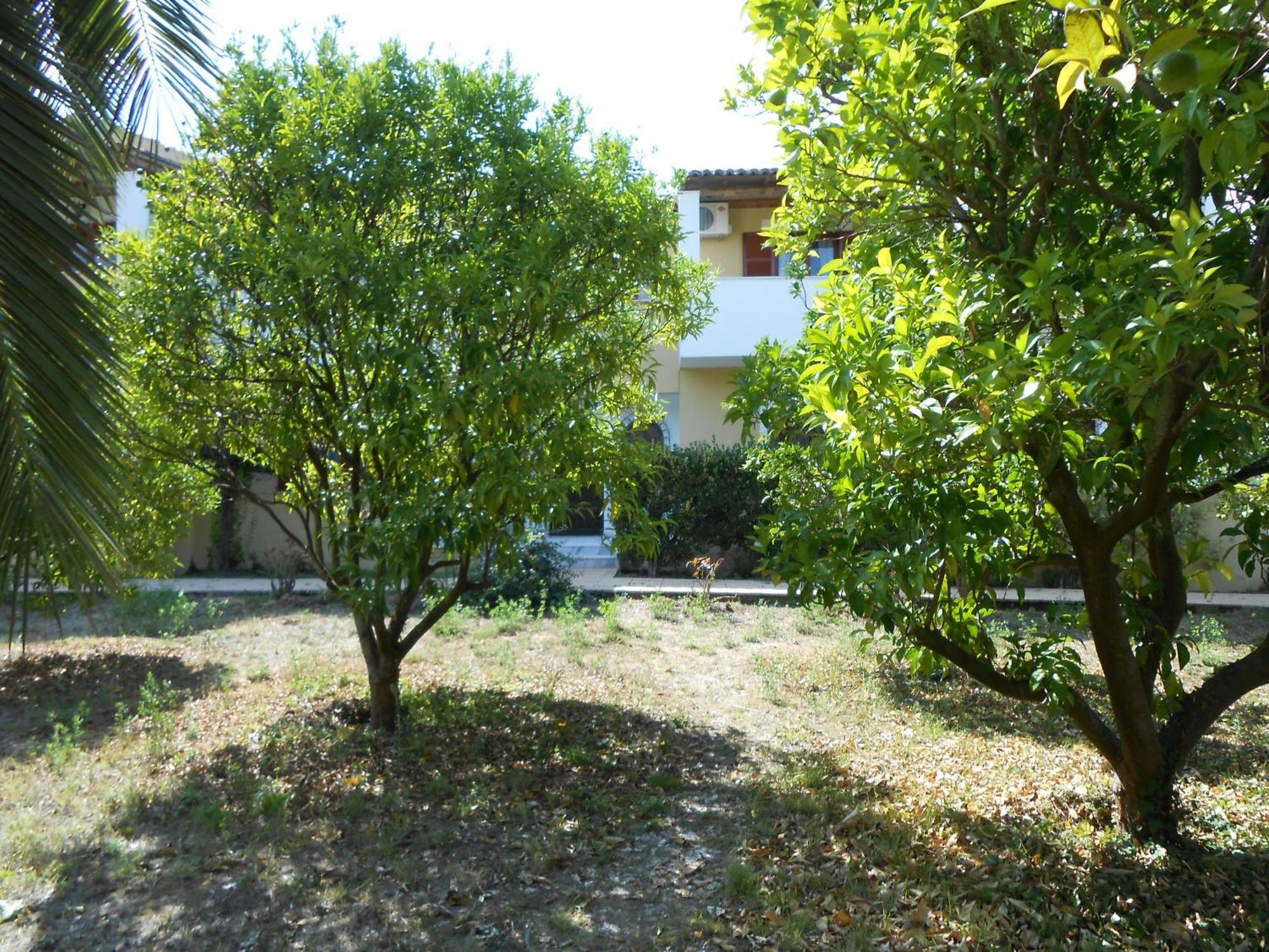 Apartment Anamama Acharavi (Corfu)